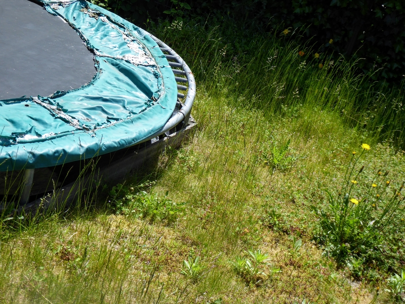 13-Year-Old Girl Shot While Playing on Trampoline