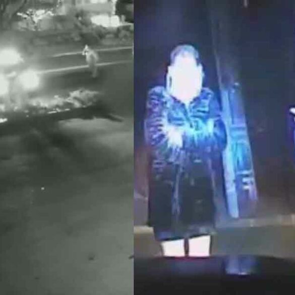 Senator menendez's wife nadine's deadly car crash being investigated by new jersey attorney general - photo licensed by shore news network.