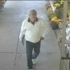Police seek suspect who stole wallen from 77-year-old woman