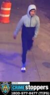 Nypd investigating car theft