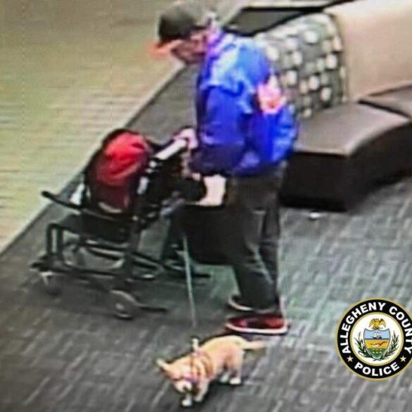 Man abandons dog in parking garage before flight departed pittsburgh international - photo licensed by shore news network.