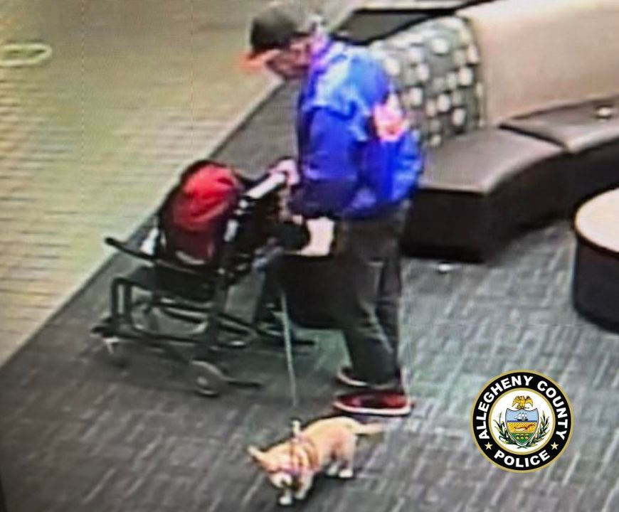 Man Abandons Dog in Parking Garage Before Flight Departed Pittsburgh International