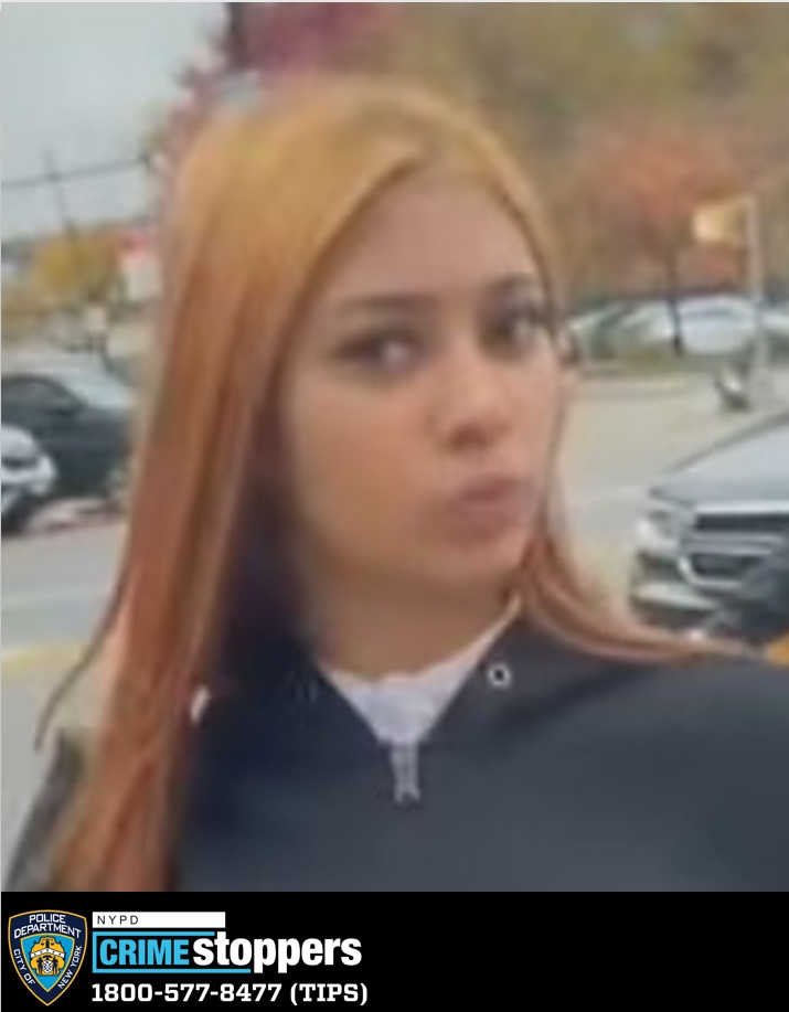 NYPD Seeks Help to Locate Missing Bronx Teenager