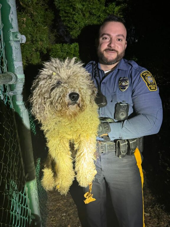 Deal Police Rescue Lost Dog, Owners Sought