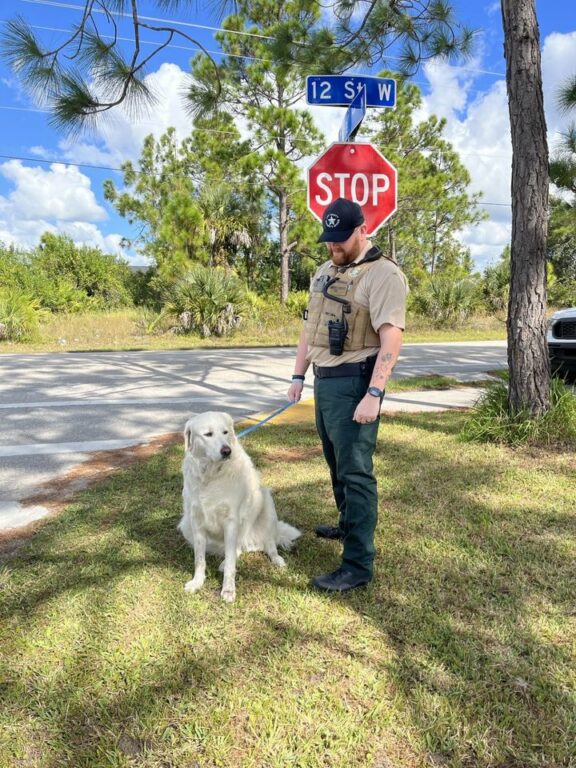 Lee County Deputies Reunite Lost Dog with Family
