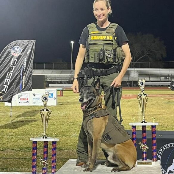 This florida k9 is one of america's top dogs - photo licensed by shore news network.