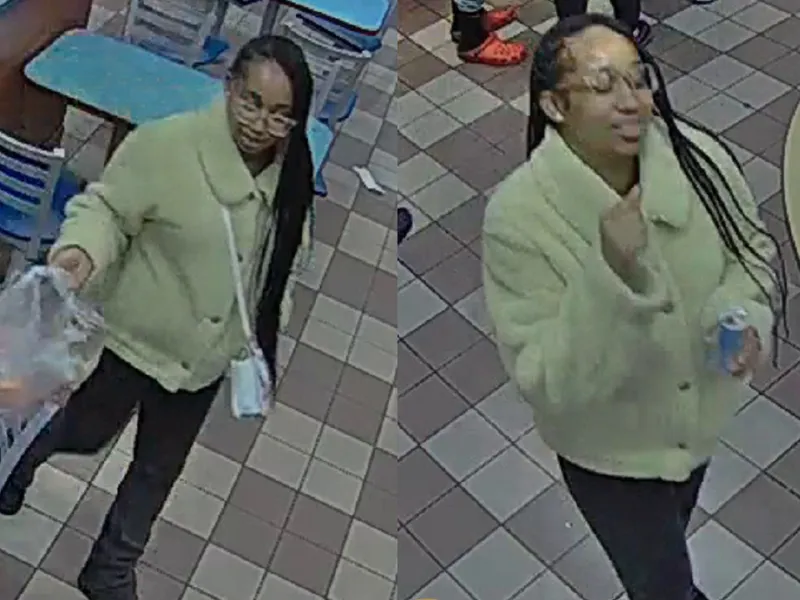 NYPD Seeks Woman Who Shot Man in NYC