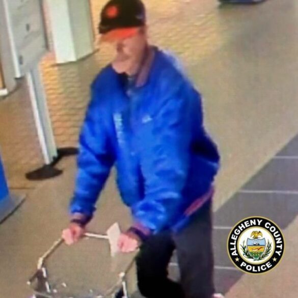 Charges filed against man who abandoned dog at airport parking lot - photo licensed by shore news network.