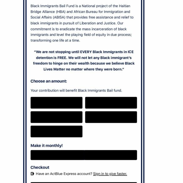 Dem fundraising platform actblue is processing donations for a bail fund for illegal immigrants - photo licensed by shore news network.