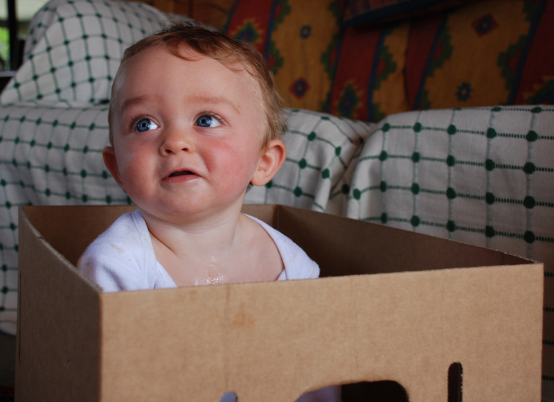 A baby inside a cardboard box.