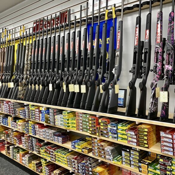 Gun display in gun store