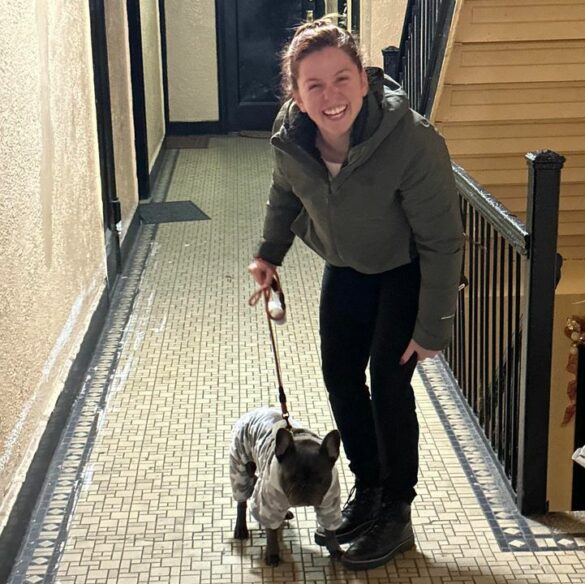 Stolen french bulldog rescued, yonkers police reunite pet with owner - photo licensed by shore news network.