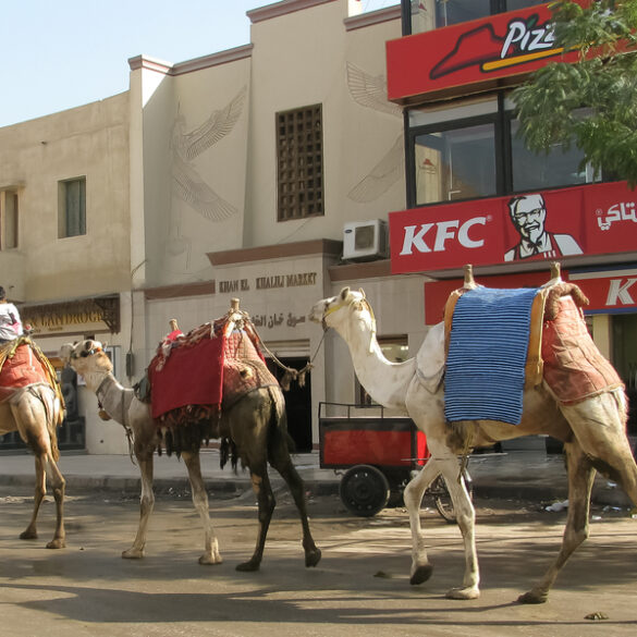 Kfc - cairo, egypt