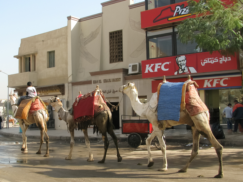 KFC - Cairo, Egypt