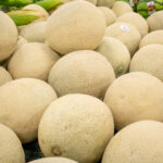 Several fresh cantaloupe melons for sale at the grocery store.