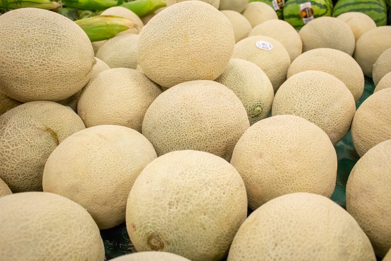 Several fresh cantaloupe melons for sale at the grocery store.