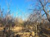 New jersey hunter found dead in upstate new york woods