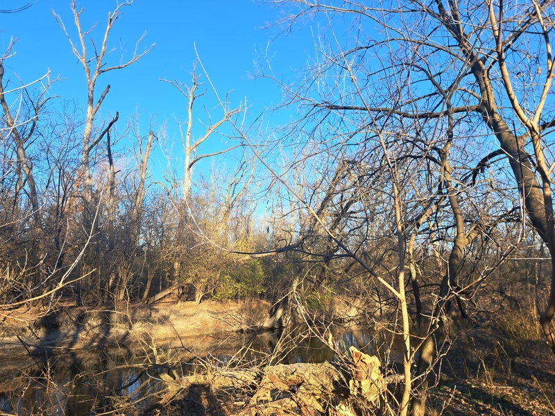 New Jersey Hunter Found Dead in Upstate New York Woods