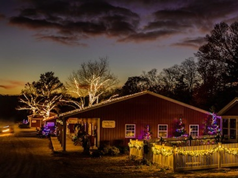 Dazzling Holiday Light Show Returns to Historic Allaire Farm