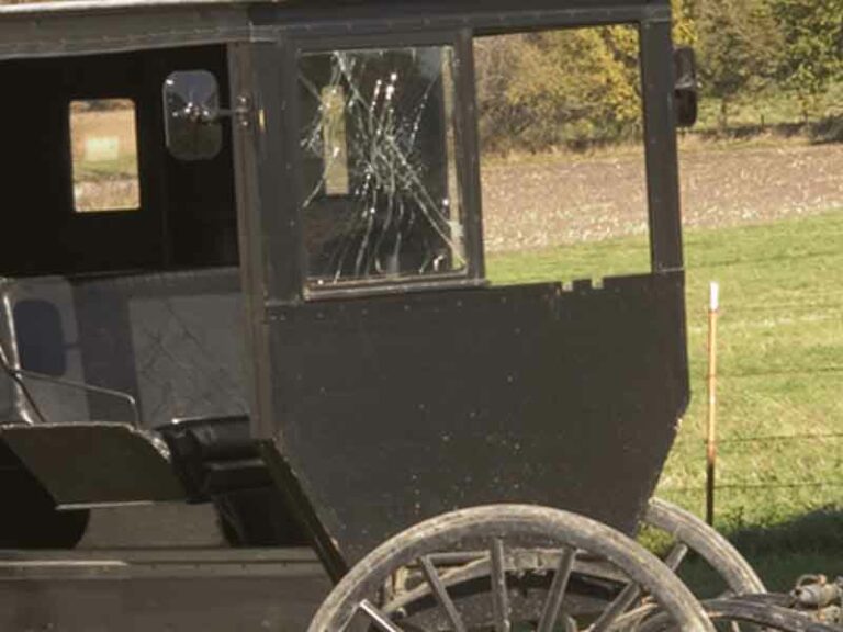 Amish buggy driver cited after 'high speed' crash on old philadelphia pike