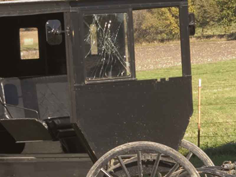 Amish Buggy Driver Cited After 'High Speed' Crash on Old Philadelphia Pike