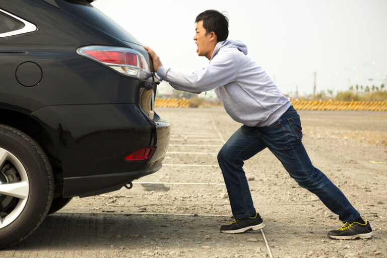 Senator criticizes governor murphy's ev mandate for impact on rural new jersey - photo licensed by shore news network.