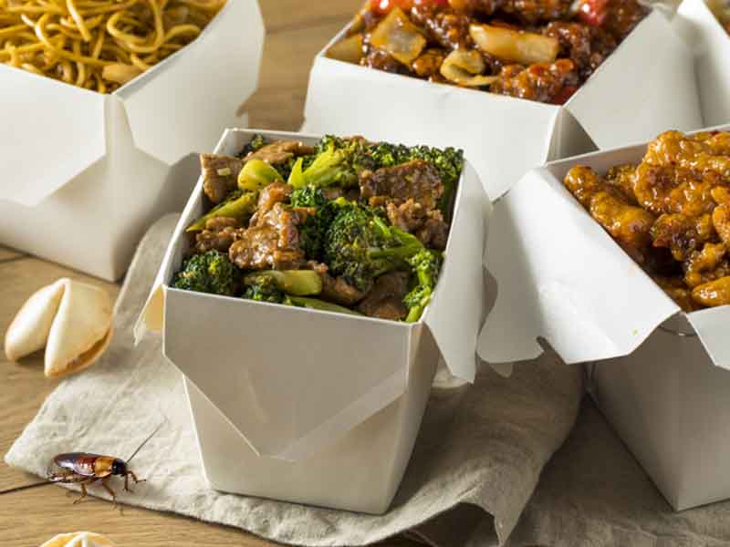 Cockroaches, Flies Found in Kitchens at Two Jackson Chinese Restaurants
