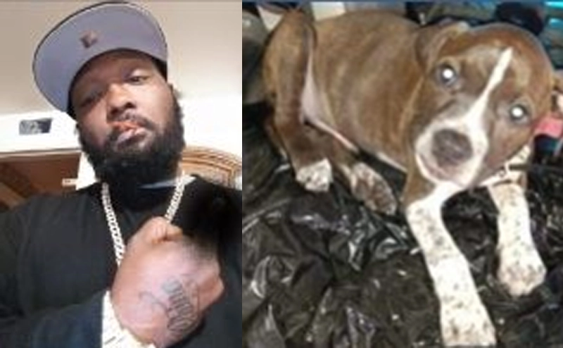 D.C. Police Can't Fetch This Fugitive Dognapper