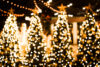 Christmas trees with lights