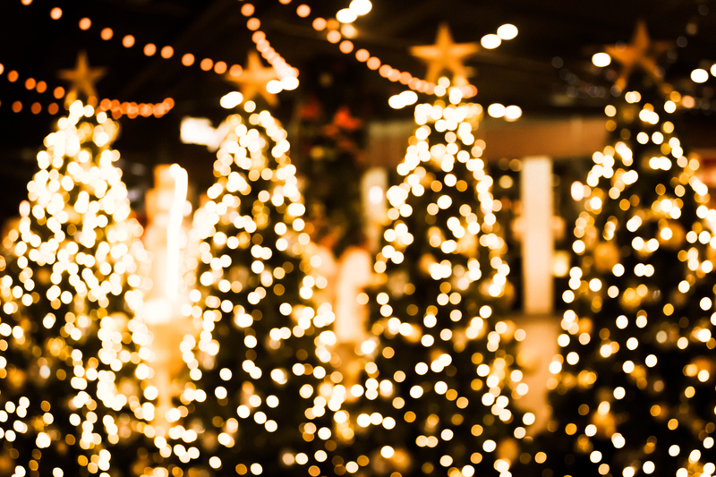 Christmas trees with lights