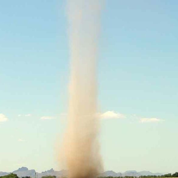 Dust devils caught on video in florida and new york highlight nature's strange phenomenon - photo licensed by shore news network.