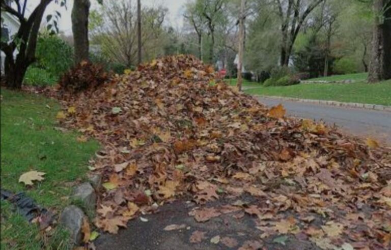 No leaves in the roadways, holmdel reminds residents - photo licensed by shore news network.