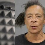 Woman Randomly Attacks Man With Meat Tenderizer