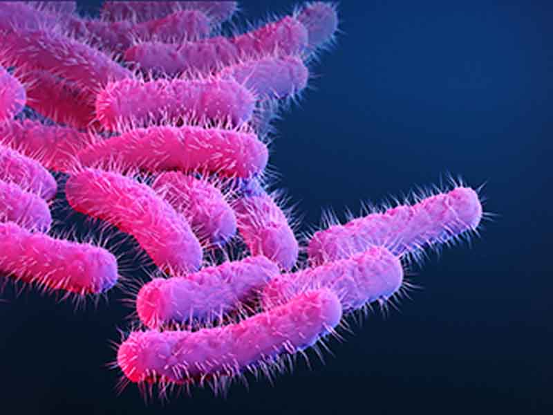 Shigella bacteria cause an infection called shigellosis. Shigella cause an estimated 450,000 infections in the United States each year and an estimated $93 million in direct medical costs.
