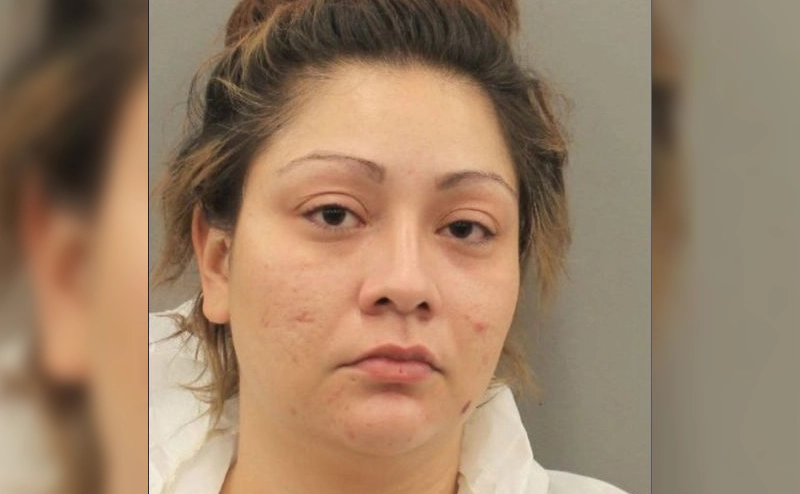 Ericka Nicole McDonald, 31, was sentenced to three decades behind bars this week for the murder of her mother in a premeditated attack last year.