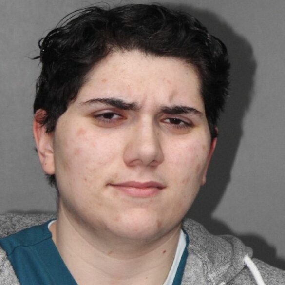 Armed standoff in utica ends peacefully, female suspect charged - photo licensed by shore news network.