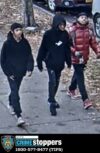 65-year-old man robbed at knifepoint by multiple suspects in nyc