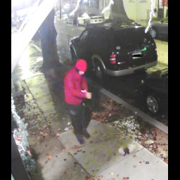 Suspect Wanted for Repeatedly Kicking Small White Dog in Lancaster