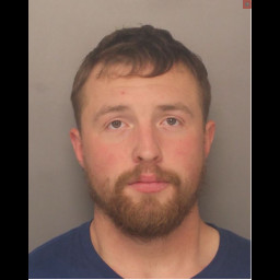 West Virginia Fugitive Arrested in Camp Hill for Child Abuse Charges