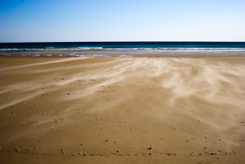 Rain, Heavy Winds With Gusts Up to 50 MPH Expected Tonight at the Jersey Shore