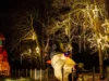 It's an old fashioned christmas this season at allaire community farm