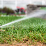 Automatic sprinkler system watering the lawn on a background of green grass, close-up.