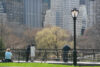 Police seek two in connection with multiple central park robberies