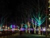 Celebrate christmas on the farm in new jersey