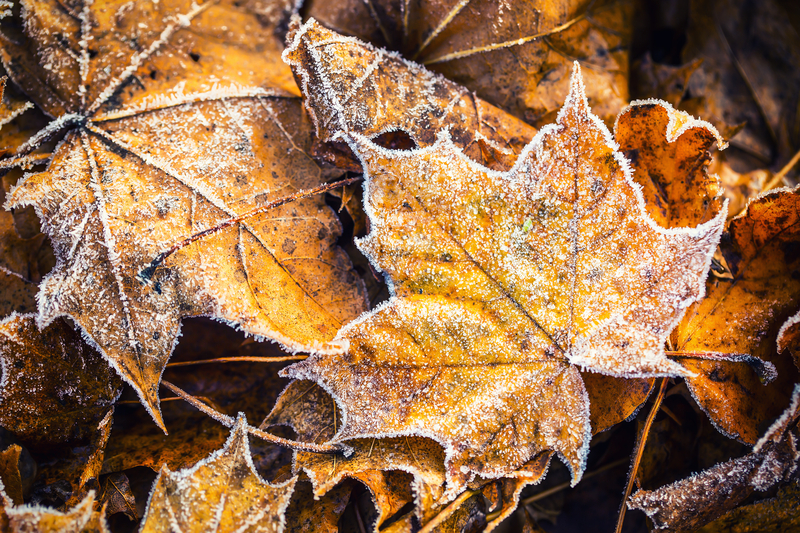 Holmdel Opens Warming Center Amidst Power Outage, Near Freezing Temps