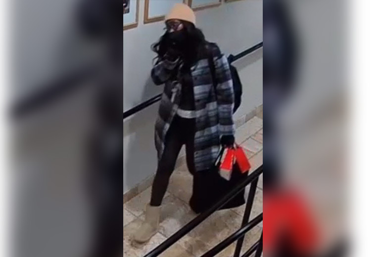Theft at St. Peter Cathedral; Suspect Sought
