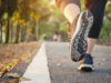 Three new jersey trails among nation's top 150 for new year's day walks