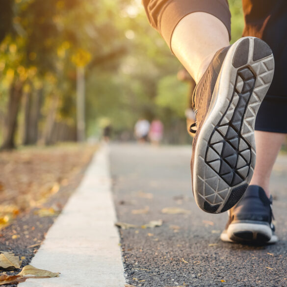 Three new jersey trails among nation's top 150 for new year's day walks - photo licensed by shore news network.