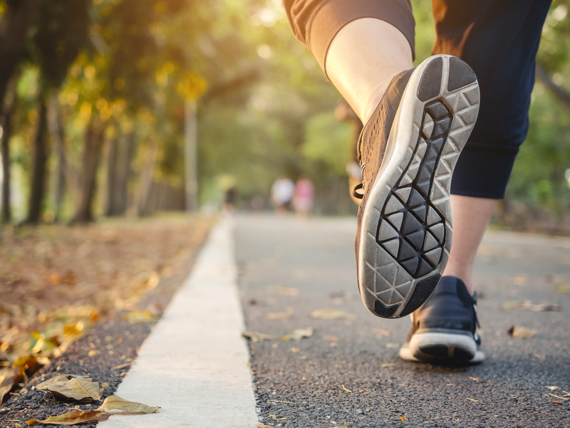 Three New Jersey Trails Among Nation's Top 150 for New Year's Day Walks
