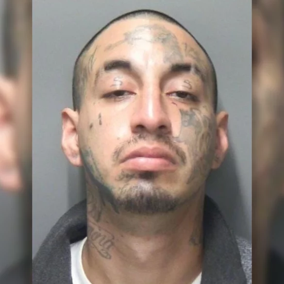 Texas man arrested for brutal assault on woman in pasture had ankle monitor - photo licensed by shore news network.